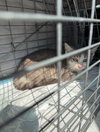 Wanda - Photo 3