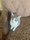 Wanda - Photo 2