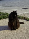 zz "Ethel" courtesy listing - Photo 1