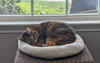 zz "Ellie" courtesy listing - Photo 2