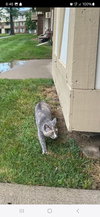 zz "Jenna's Tortie" courtesy listing - Photo 1