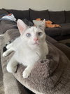 zz "Baby Girl" courtesy listing - Photo 1