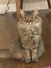 zz "Nala" courtesy listing - Photo 1