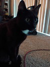 zz "Socks" courtesy listing - Photo 4