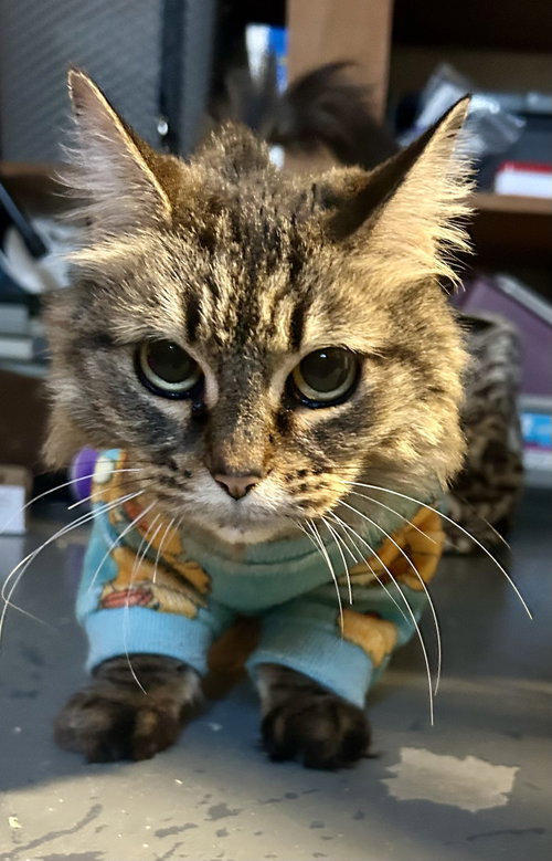Rosie