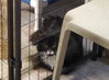 Oreo - Photo 1