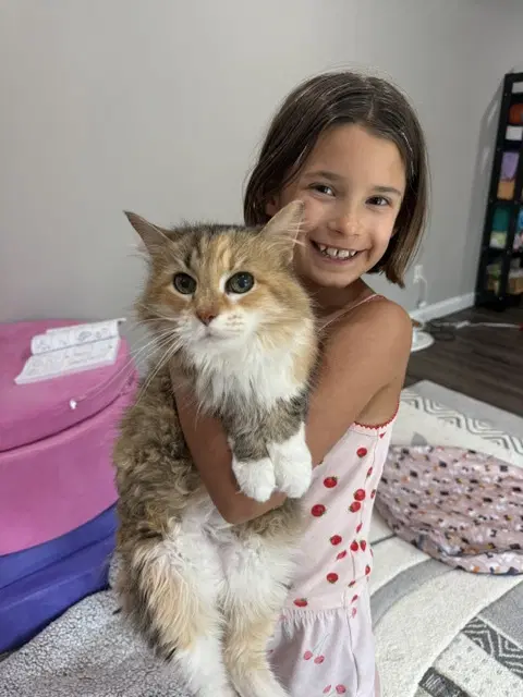 Sparkle Toes - Domestic Medium Hair