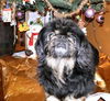 Keiko