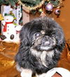 Keiko