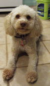 Hannah