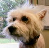 Duncan