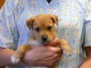 Gunther
