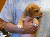 Gunther