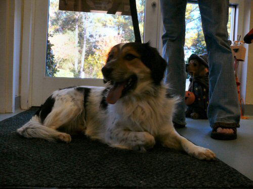 Sampson