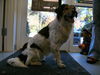 Sampson