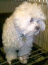 Lucy