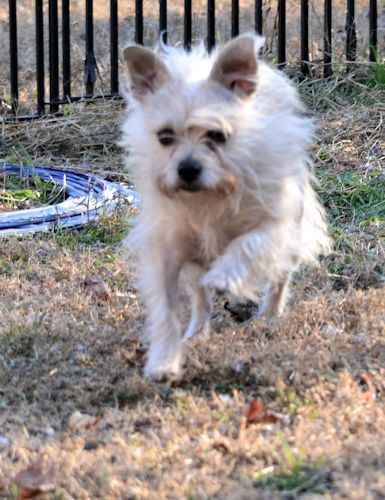 Lucy