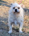 Lucy