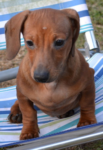 Sebastian