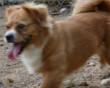 Lucy
