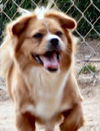 Lucy