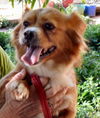 Lucy