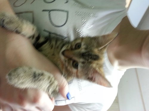 Lilly