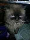 Ricky