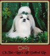 Dolly