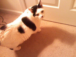 Samson