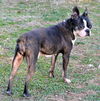 Tilly
