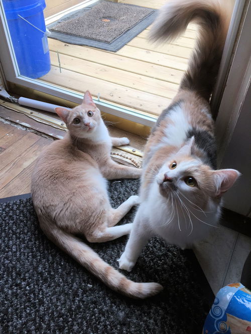 Tilly&Rex