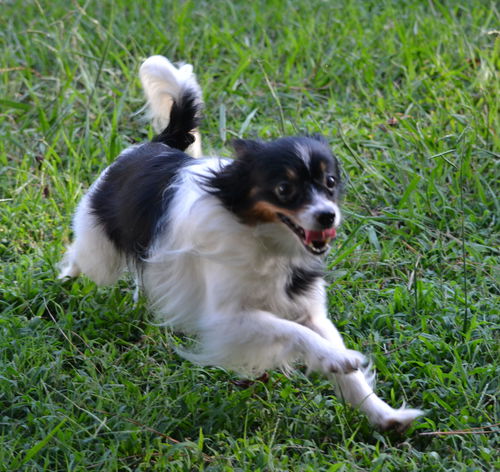 Delilah