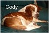 Cody 42-08