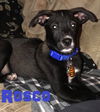 Rosco