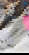 Crystal
