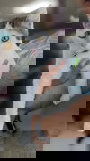 Artimus