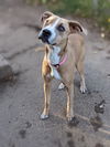 Ellie Mae