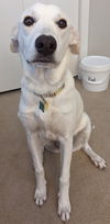 Miss Bailey
