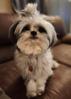 Oliver