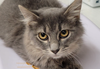Winifred