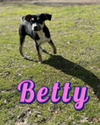 Betty