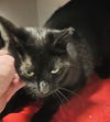 Binx