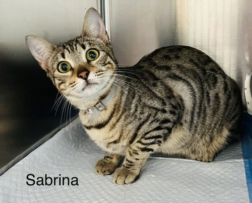 Sabrina