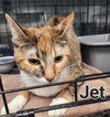 Jett