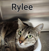 Rylee
