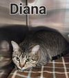 Diana
