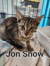 Jon Snow