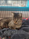 Jonathan