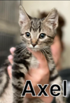 Axel
